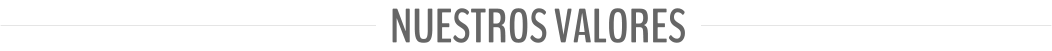 NUESTROS VALORES