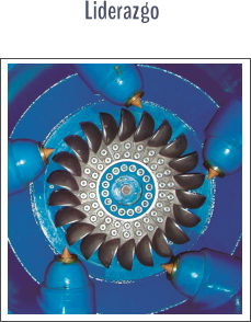 Liderazgo